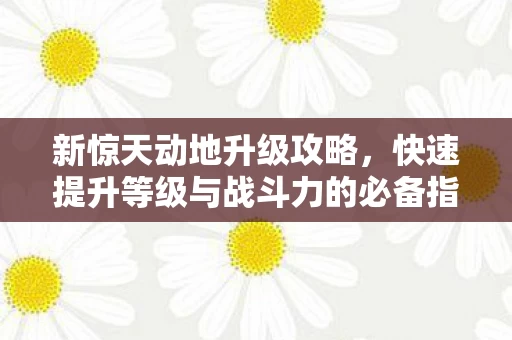 快速提升等级与战斗力的必备指南图片