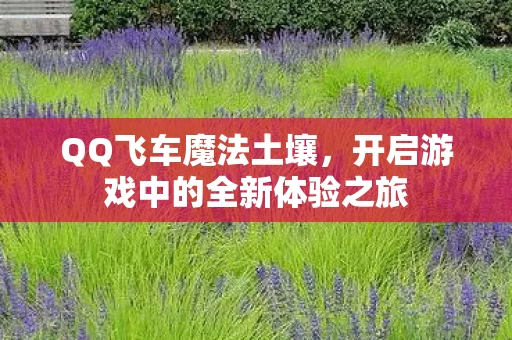 开启游戏中的全新体验之旅图片