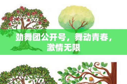劲舞团公开号图片