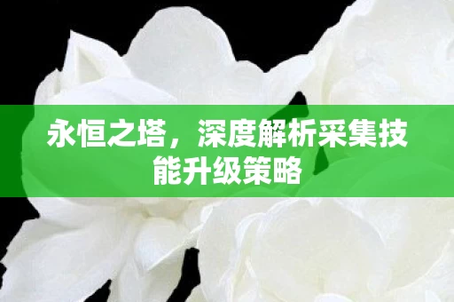 深度解析采集技能升级策略图片