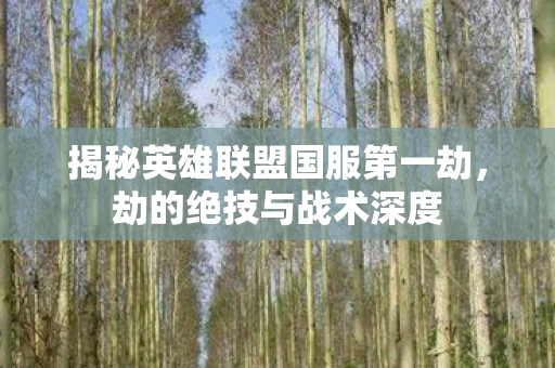 揭秘英雄联盟国服第一劫图片