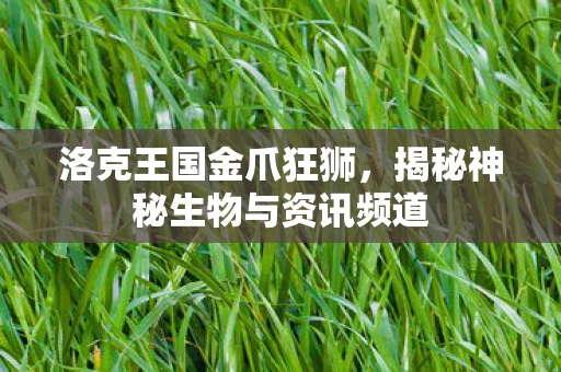 揭秘神秘生物与资讯频道图片