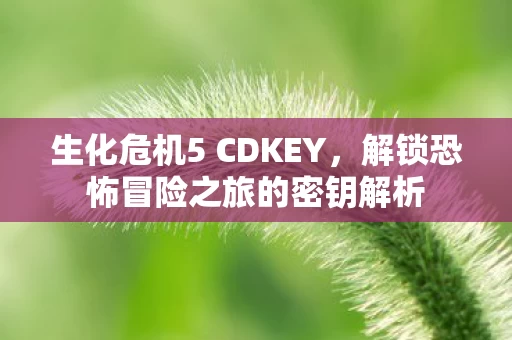 解锁恐怖冒险之旅的密钥解析图片