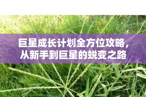 巨星成长计划全方位攻略图片