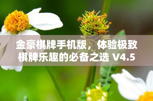 体验极致棋牌乐趣的必备之选 V4图片