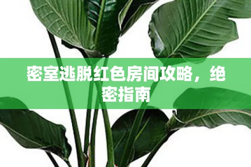 密室逃脱红色房间攻略图片