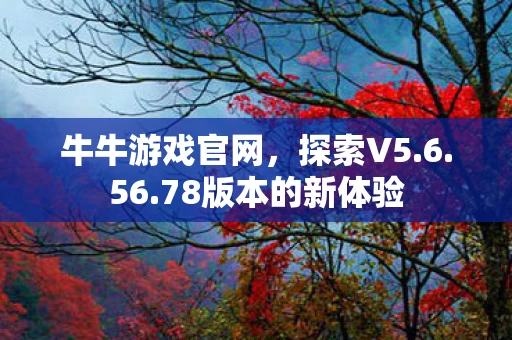 78版本的新体验图片