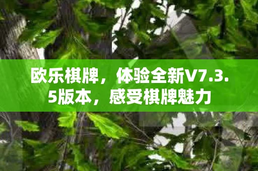 体验全新V7图片