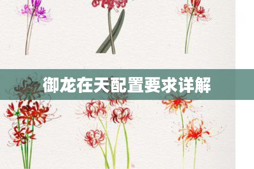 御龙在天配置要求详解图片