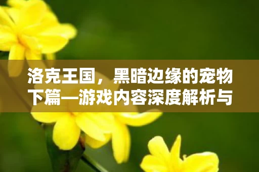 游戏内容深度解析与探讨图片