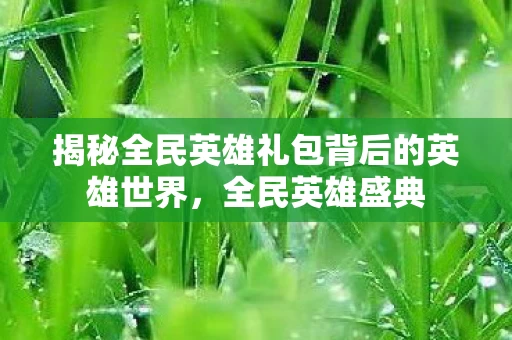 揭秘全民英雄礼包背后的英雄世界图片