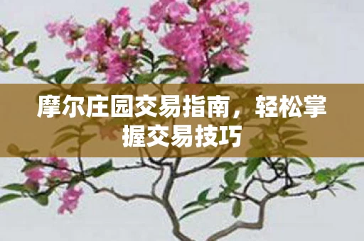 摩尔庄园交易指南图片
