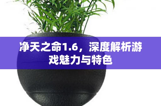 深度解析游戏魅力与特色图片
