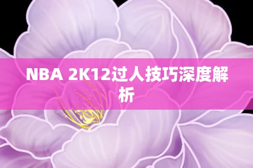 NBA 2K12过人技巧深度解析图片