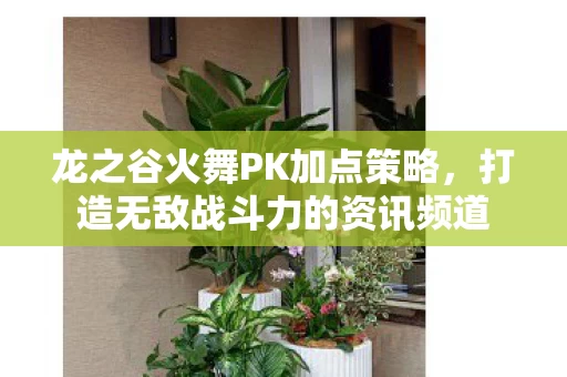 打造无敌战斗力的资讯频道图片