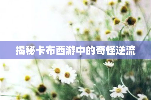 揭秘卡布西游中的奇怪逆流图片