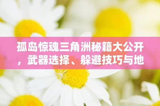 孤岛惊魂三角洲秘籍大公开图片