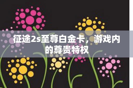 征途2s至尊白金卡图片