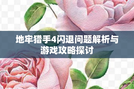 地牢猎手4闪退问题解析与游戏攻略探讨图片