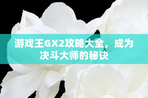 游戏王GX2攻略大全图片
