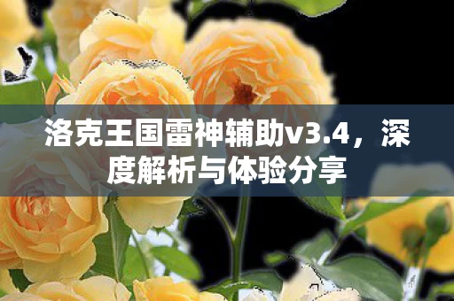 洛克王国雷神辅助v3图片