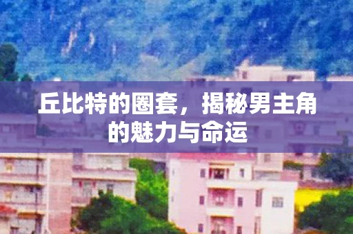 揭秘男主角的魅力与命运图片