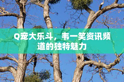 韦一笑资讯频道的独特魅力图片