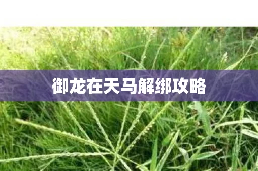 御龙在天马解绑攻略图片