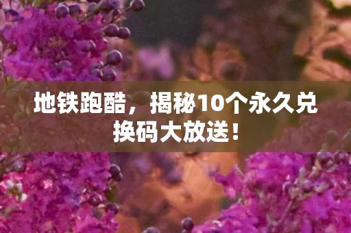 揭秘10个永久兑换码大放送图片