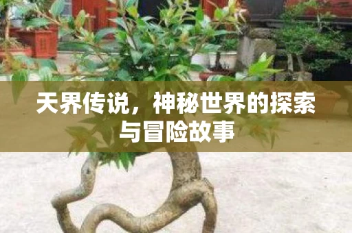 神秘世界的探索与冒险故事图片