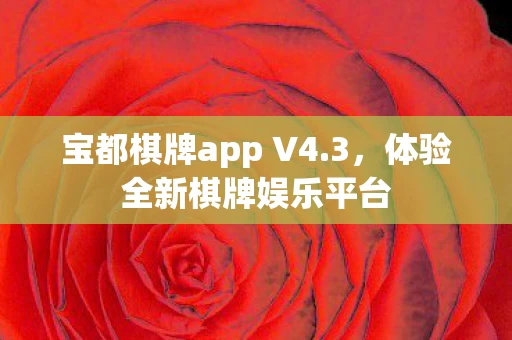 宝都棋牌app V4图片