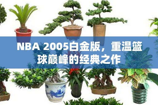 NBA 2005白金版图片