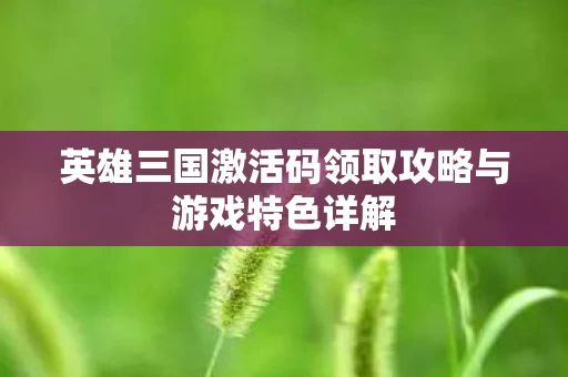 英雄三国激活码领取攻略与游戏特色详解图片
