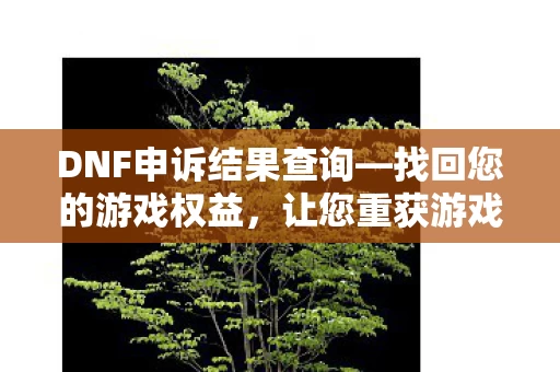 DNF申诉结果查询图片