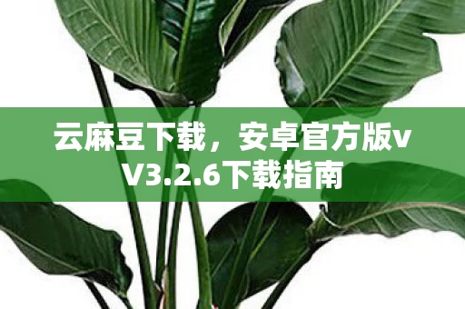 安卓官方版vV3图片