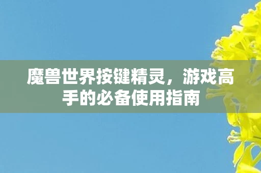 游戏高手的必备使用指南图片