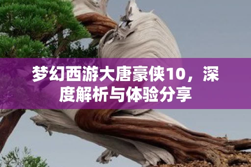梦幻西游大唐豪侠10图片