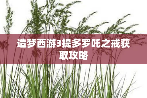 造梦西游3提多罗吒之戒获取攻略图片