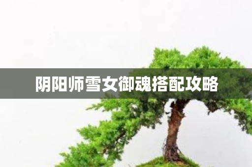 阴阳师雪女御魂搭配攻略图片