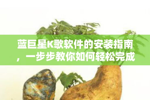 蓝巨星K歌软件的安装指南图片