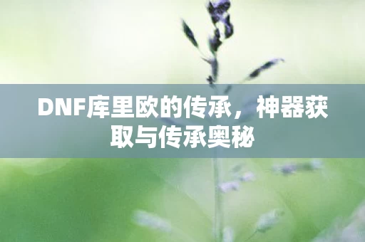 DNF库里欧的传承图片