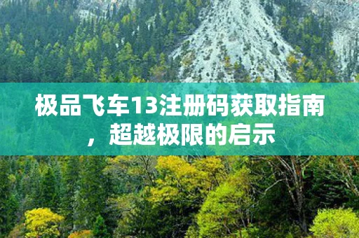 极品飞车13注册码获取指南图片