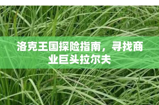 寻找商业巨头拉尔夫图片
