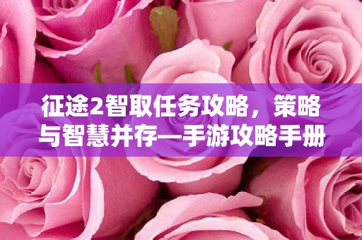 征途2智取任务攻略图片