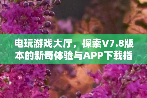 8版本的新奇体验与APP下载指南图片