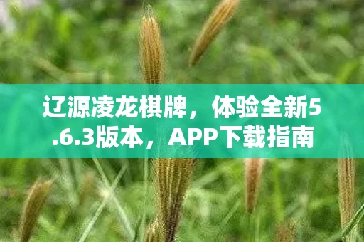 APP下载指南图片