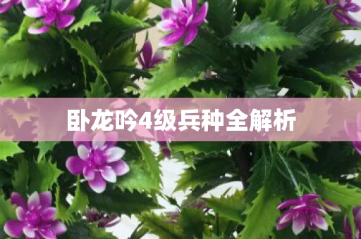 卧龙吟4级兵种全解析图片