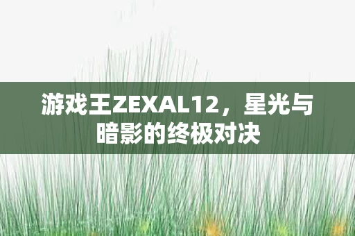 游戏王ZEXAL12图片