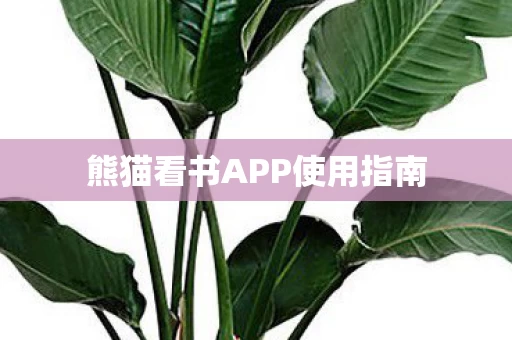 熊猫看书APP使用指南图片