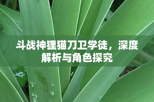 斗战神狸猫刀卫学徒图片